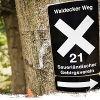 Waldecker-Weg-(X21)