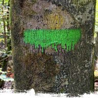 Wegzeichen-Saar-Rhein-Weg Saar-rhein-Wanderweg. NST, Nord Süd Trail, Wandern, Fernwandern