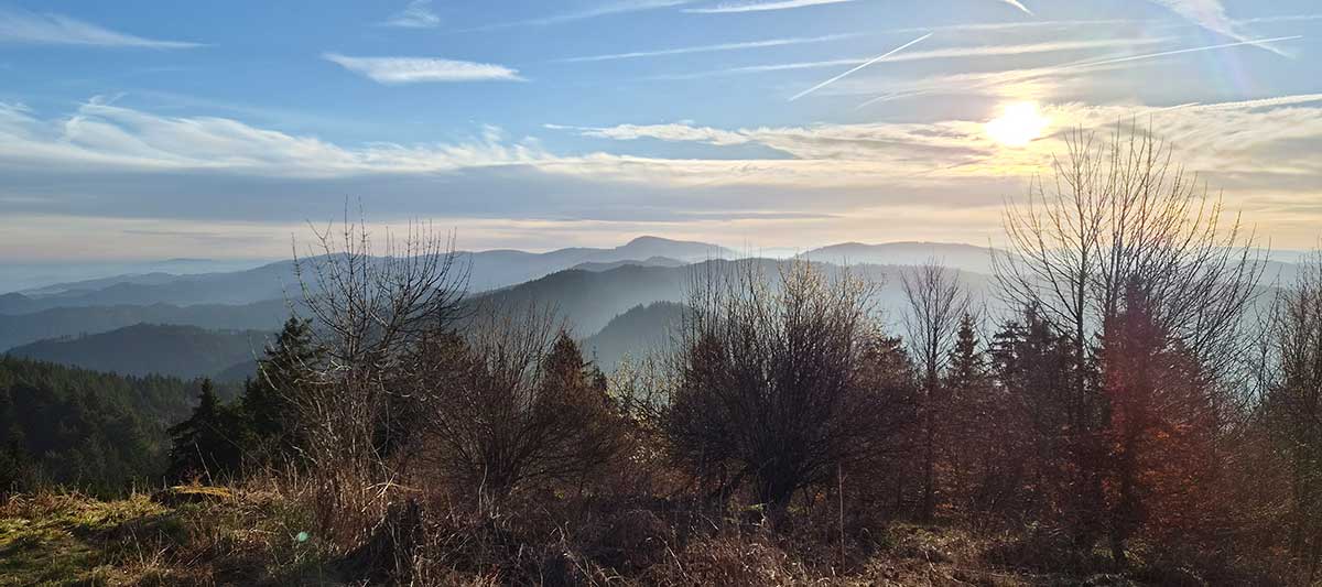 NST_Schwarzwald_Westweg_PanoramaTidy
